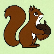 Squirrel t-shirt